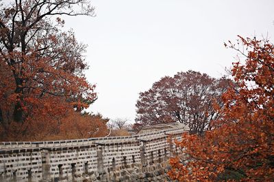 Low angle view of trees and building against sky during autumn