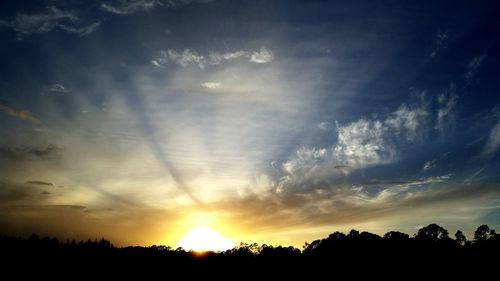 Silhouette of trees at sunset