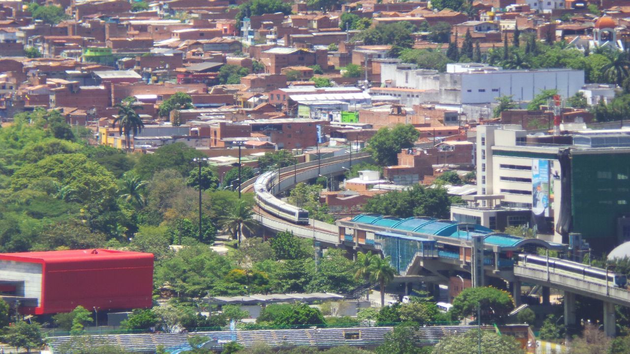 building exterior, architecture, built structure, tree, high angle view, house, residential building, city, residential structure, residential district, cityscape, roof, town, crowded, green color, townscape, day, outdoors, growth, elevated view