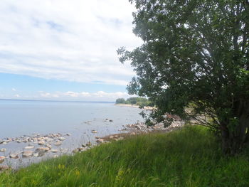 Scenic view of sea against sky