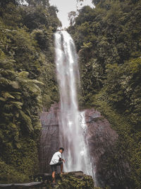 Rear view of man standing by waterfall in forest