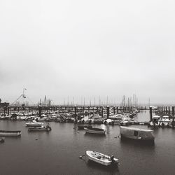 Sailboats moored in harbor