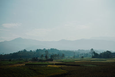 Scenic view of field against sky