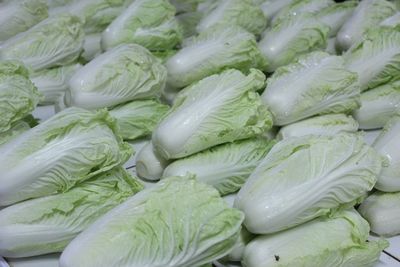 Full frame shot of cabbages