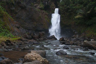 View of waterfall in forest