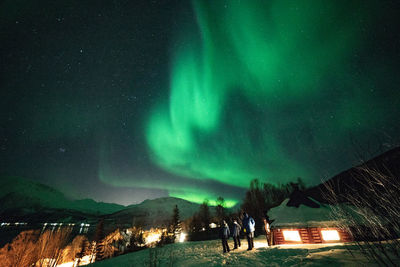 Scenic view of illuminated tree against sky at night during winter