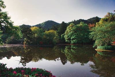 Reflection of trees in lake against sky