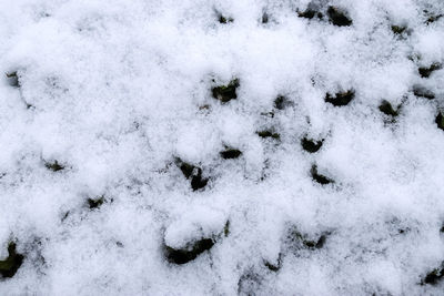 Full frame shot of snow covered land