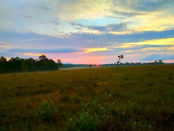 Scenic view of grassy field against sky during sunset