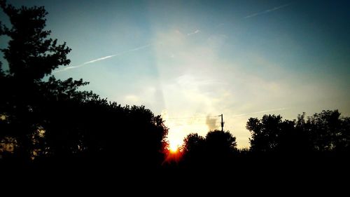 Silhouette of trees at sunset