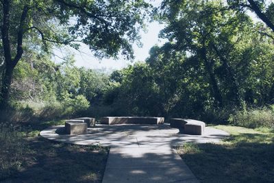 Empty road amidst trees