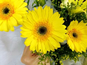 Close-up of sunflower