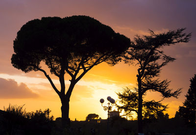 Silhouette trees against sky during sunset