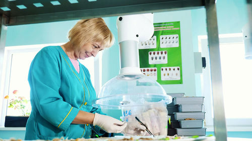 Lab worker studying, examines sprouted, rooted corn seeds, in laboratory. science laboratory