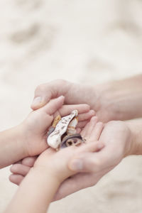 Child handling shells to mother