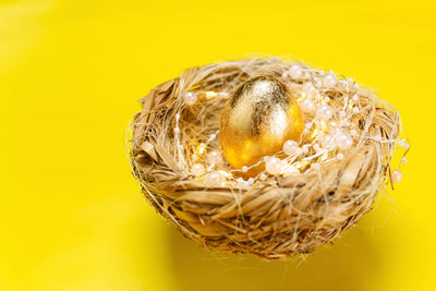 Close-up of bird in nest