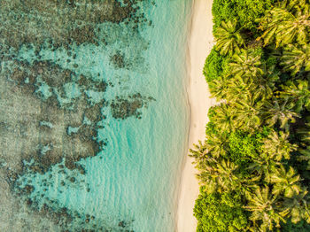 High angle view of swimming pool at beach