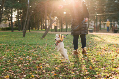 Rear view of woman with dog on field