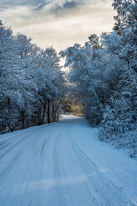 Curved road in rime frost forest near silkeborg