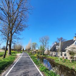 Empty road along plants and trees against blue sky