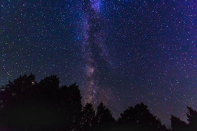 Low angle view of silhouette trees against star field at night