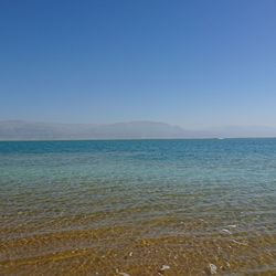 Scenic view of sea against clear blue sky