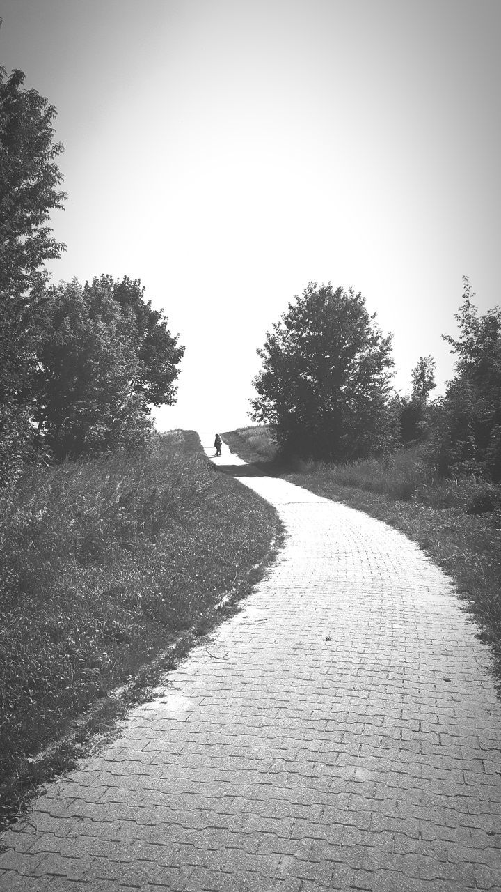 tree, plant, direction, the way forward, sky, footpath, tranquility, nature, road, clear sky, diminishing perspective, day, tranquil scene, no people, beauty in nature, outdoors, growth, scenics - nature, transportation, land, long