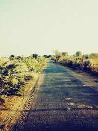 Road amidst trees against clear sky