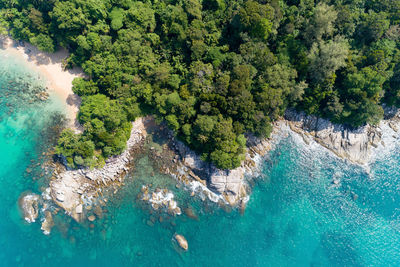 High angle view of trees by sea