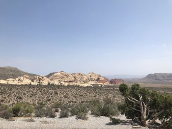 Red rock canyon 