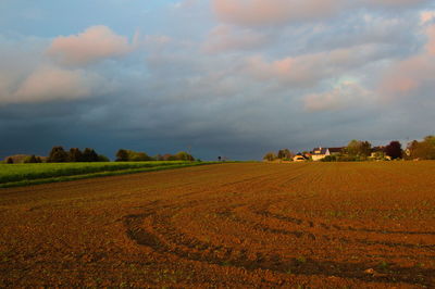 Scenic view of agricultural field against sky