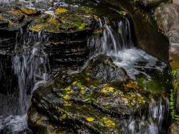 Scenic view of waterfall