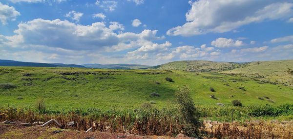 Scenic view of agricultural field against sky