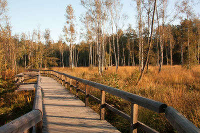 View of wooden footbridge in forest