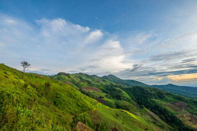 Scenic view of landscape against sky