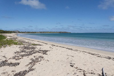 Scenic view of beach against blue sky