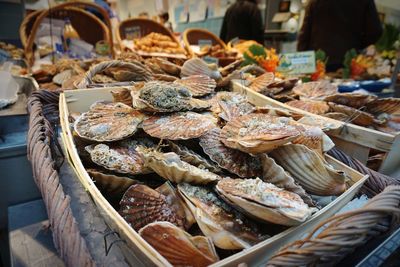 Oysters in a french market