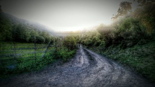 Road amidst trees against clear sky