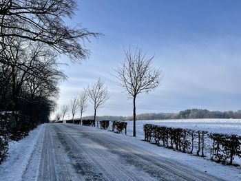 Snow covered road by trees against sky