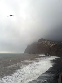 Birds flying over sea against sky