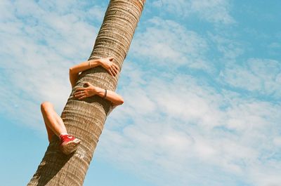 Low angle view of woman climbing on tree