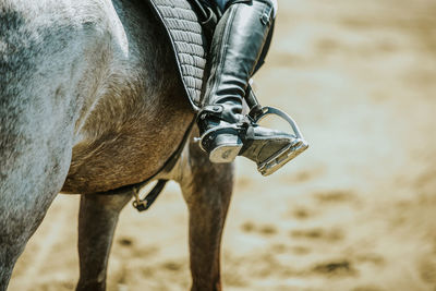 Low section of person riding horse