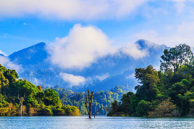 Scenic view of sea by trees against sky