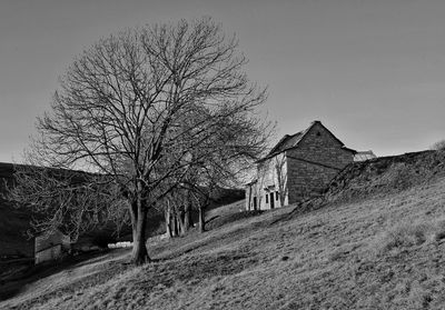 Bare tree on field by building against sky