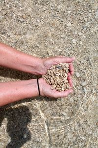 Close-up of hand holding stones on beach