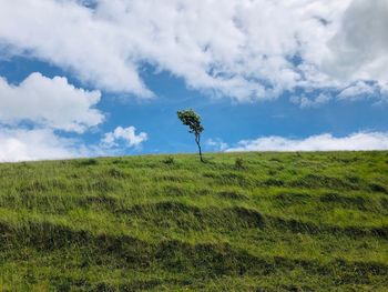 Scenic view of land against sky