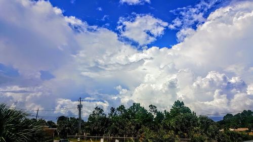 Panoramic view of trees against blue sky