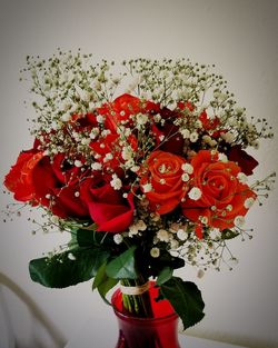 Close-up of red roses against white background