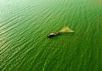 High angle view of green leaf floating on water