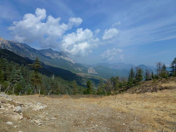 Scenic view of landscape against sky